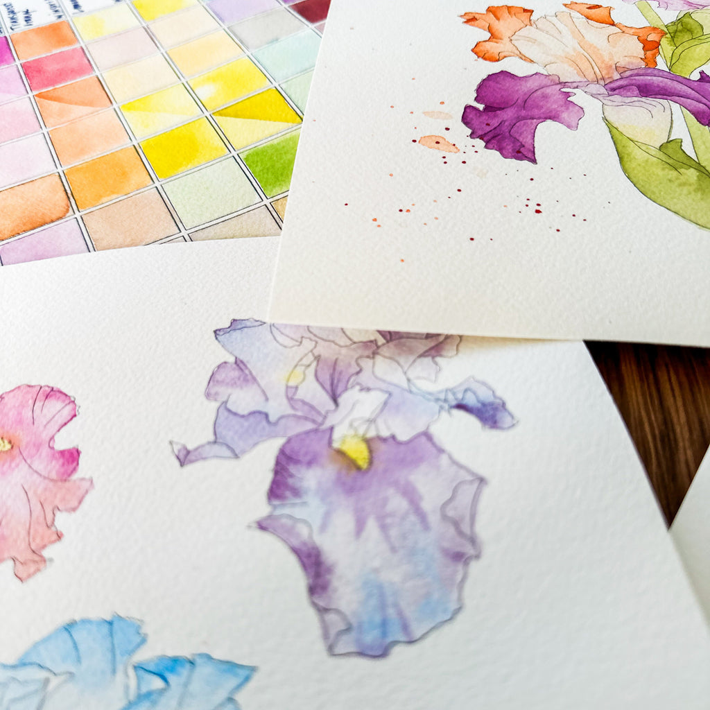 Mini Watercolor Kits