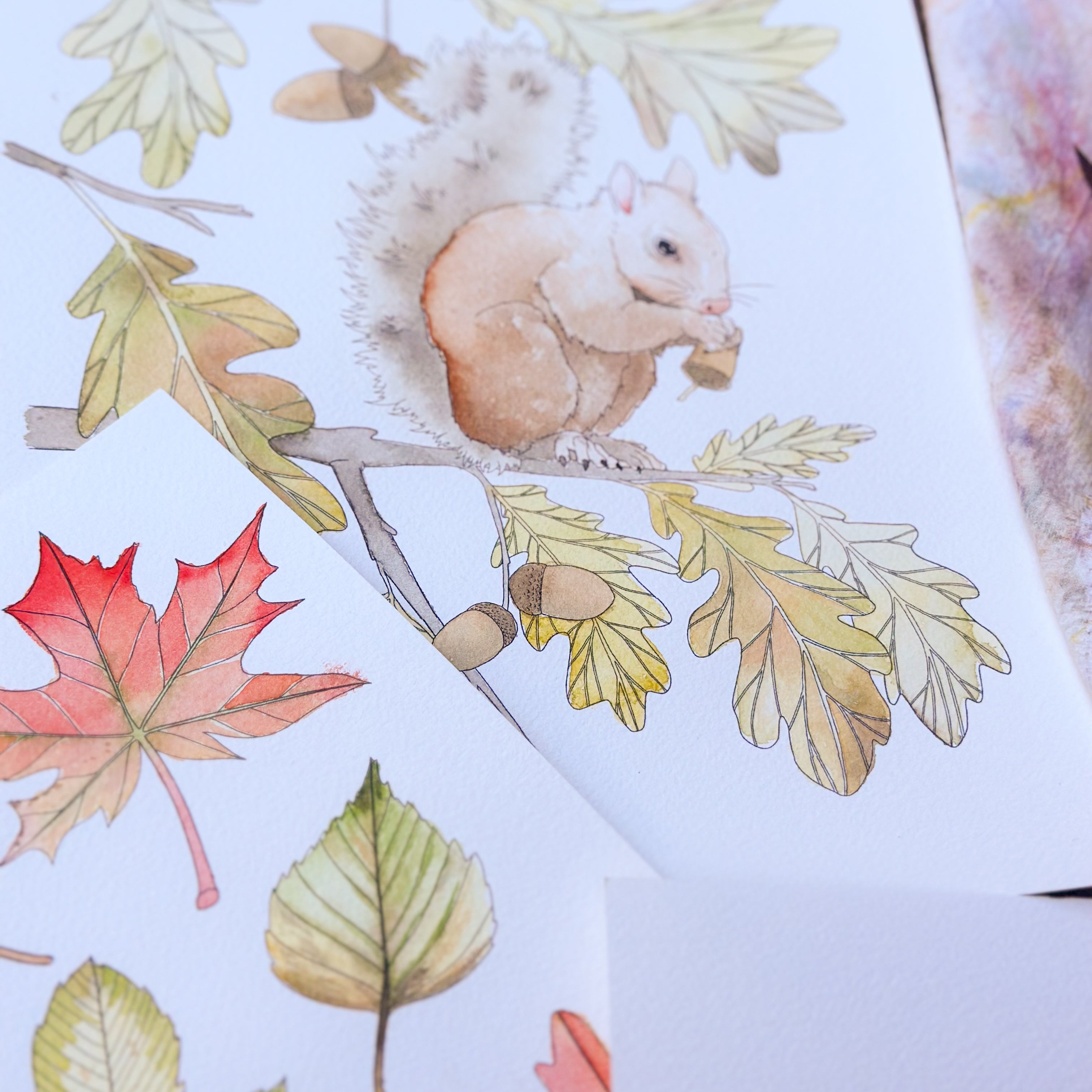 Fall Trees Watercolor Kit
