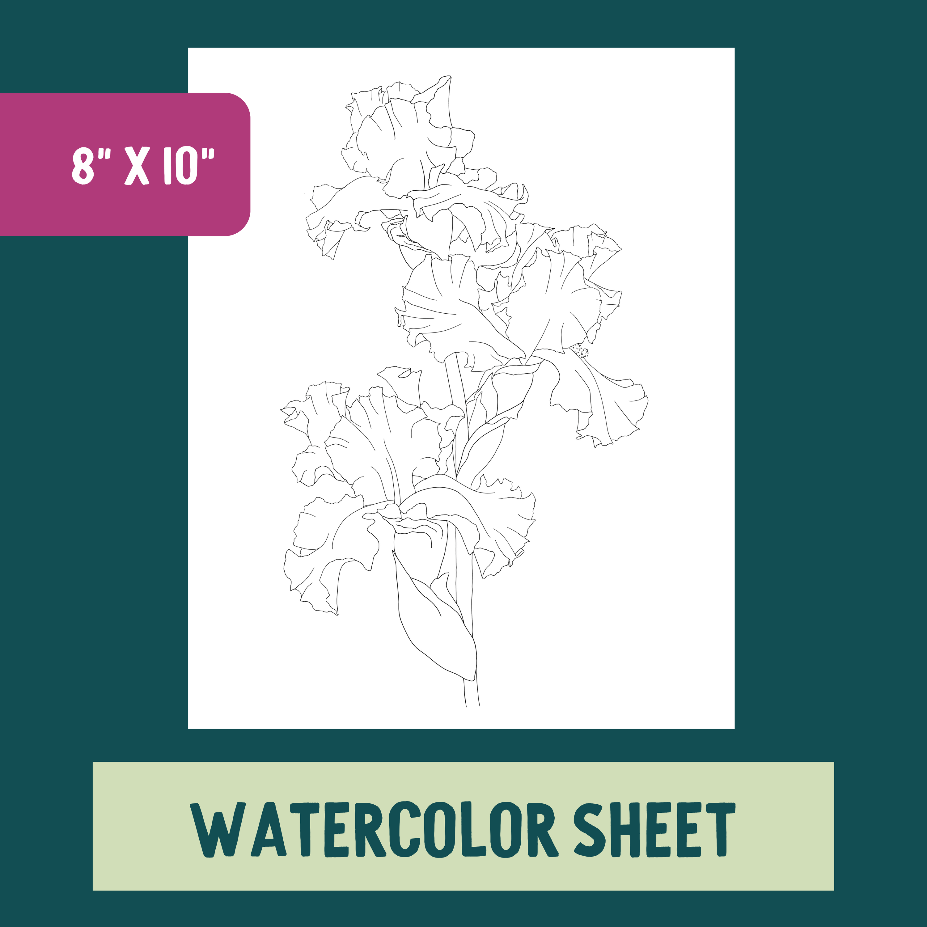 *Individual Sheet* Iris Bouquet