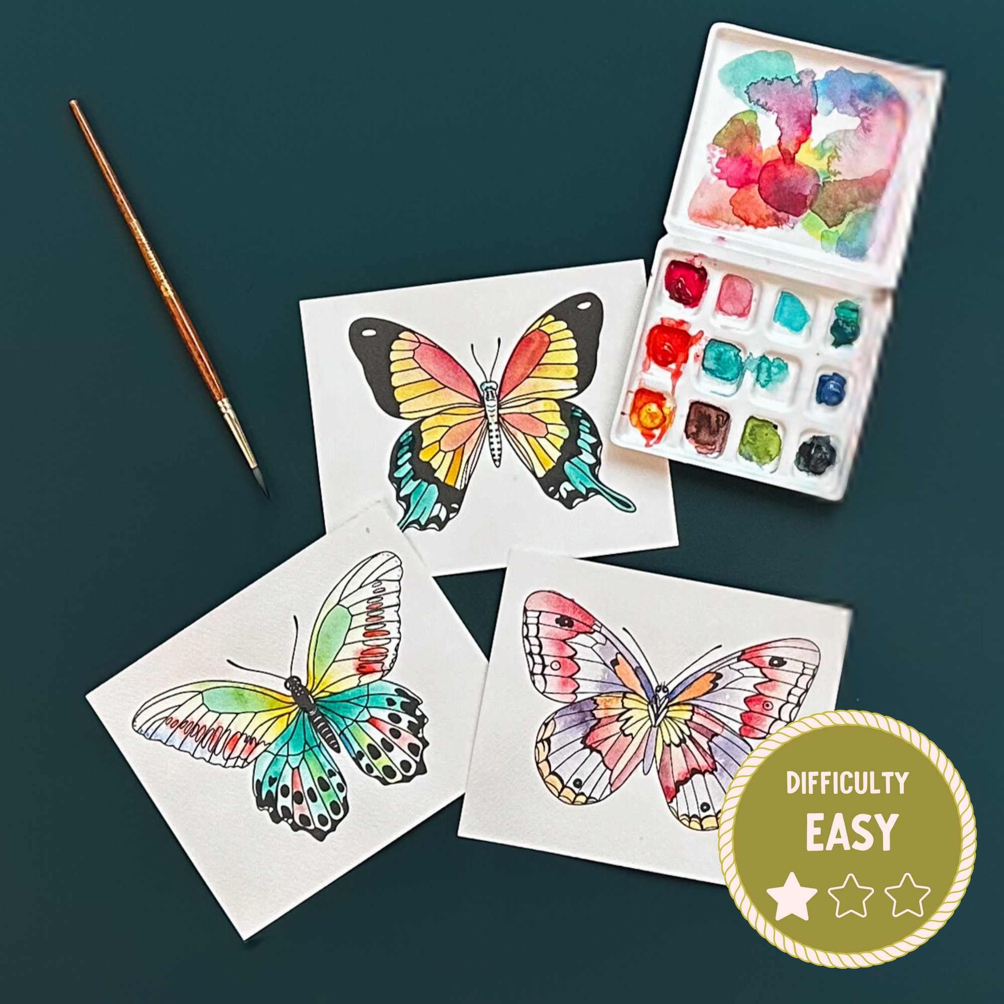 Butterfly Wings Watercolor Painting Kit - (Mini)