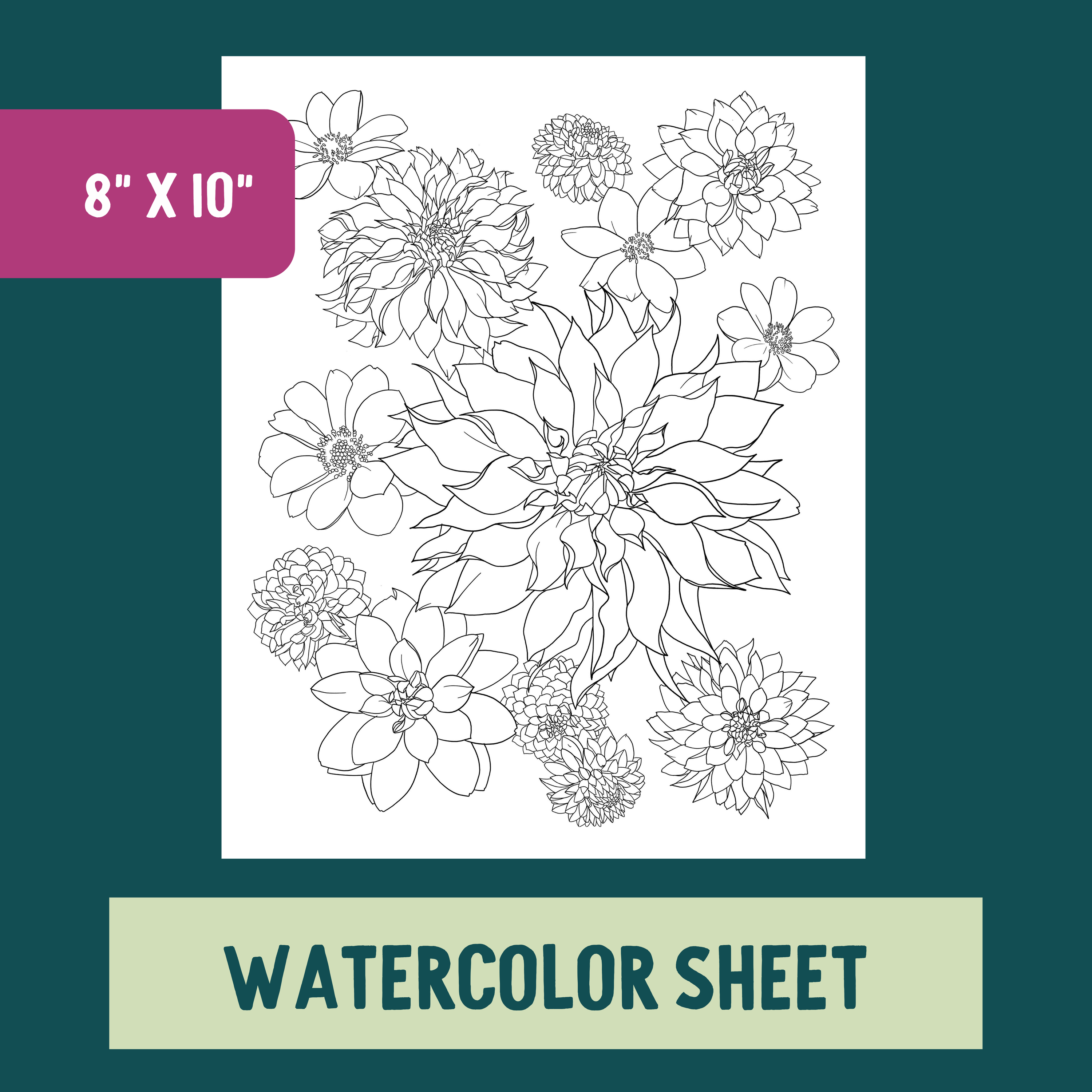 *Individual Sheet* Dahlias
