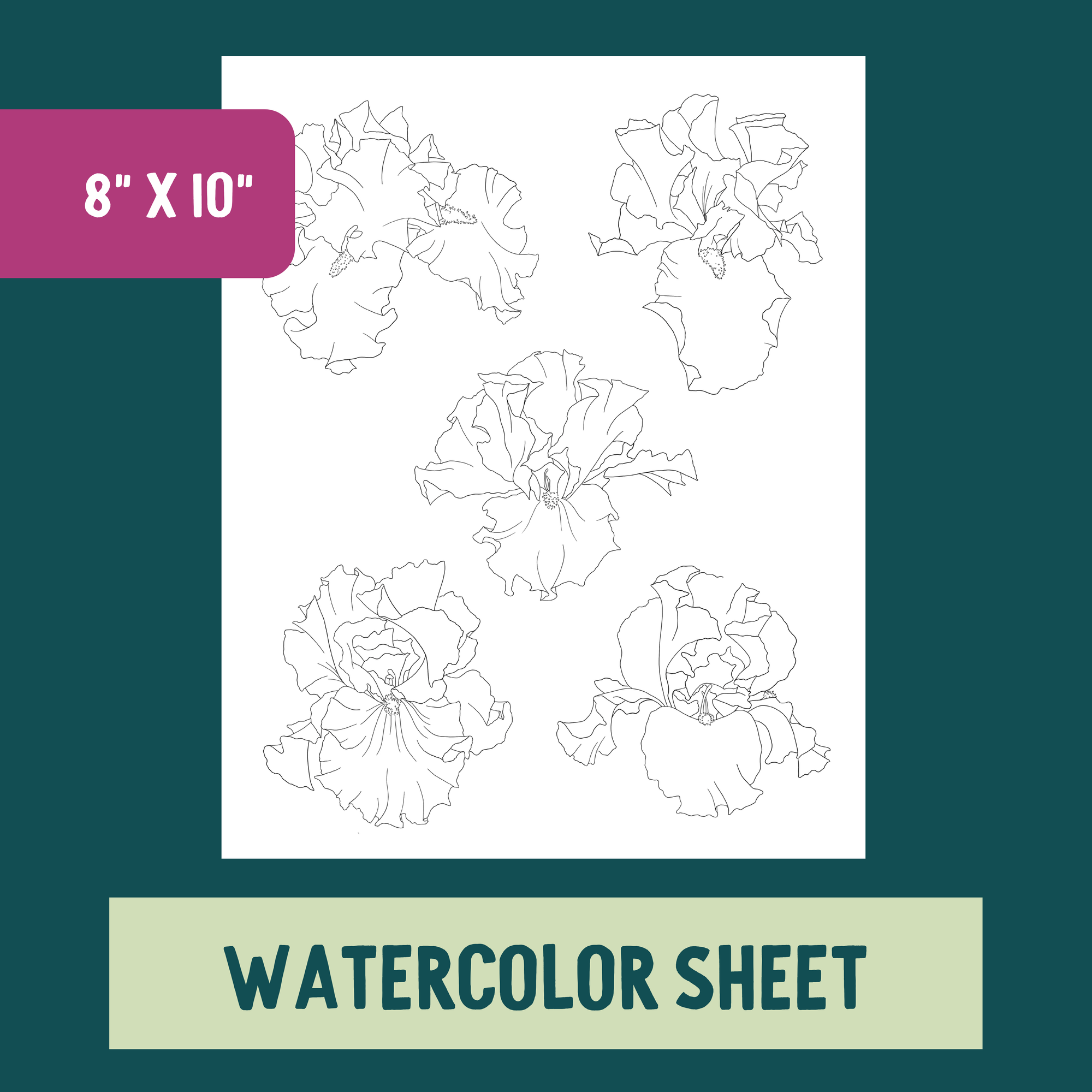 *Individual Sheet* Blooming Irises