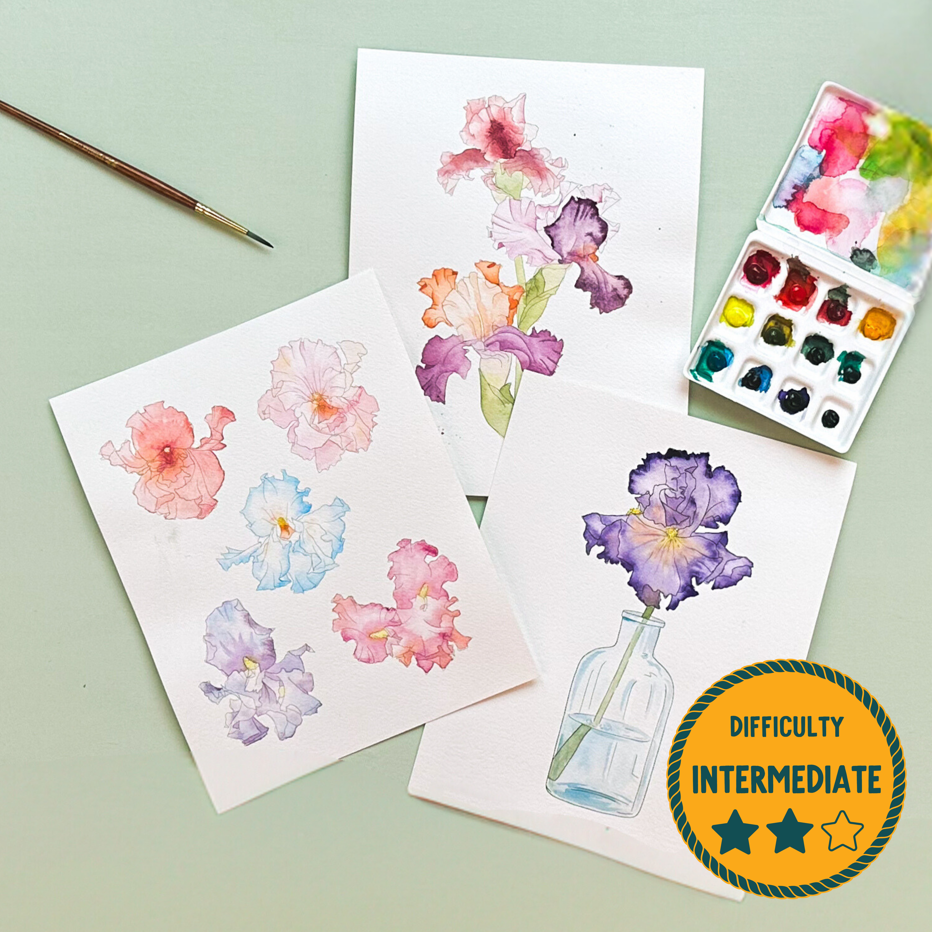 Iris Blooms Watercolor Painting Kit - (Large)