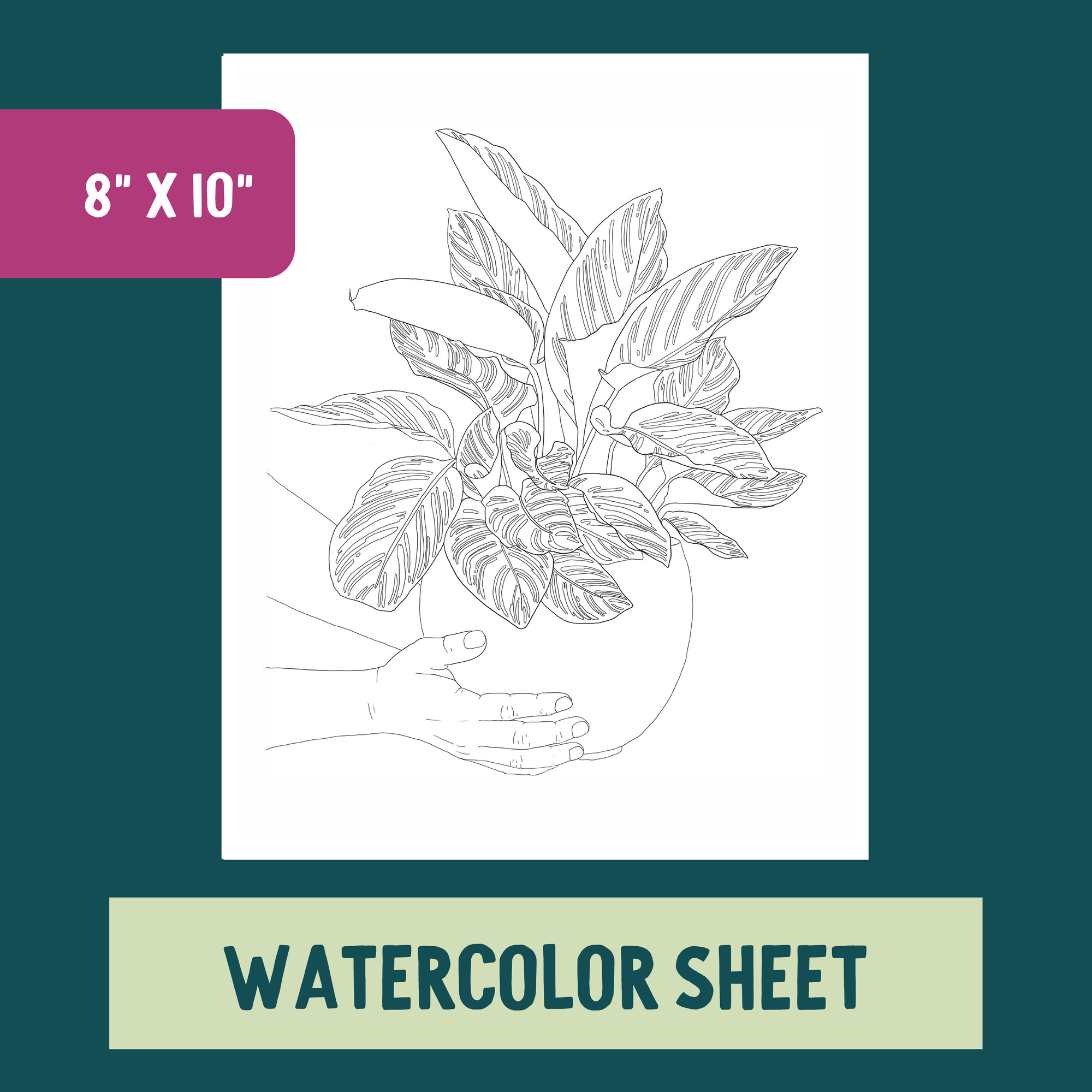 *Individual Sheet* Potted Plant