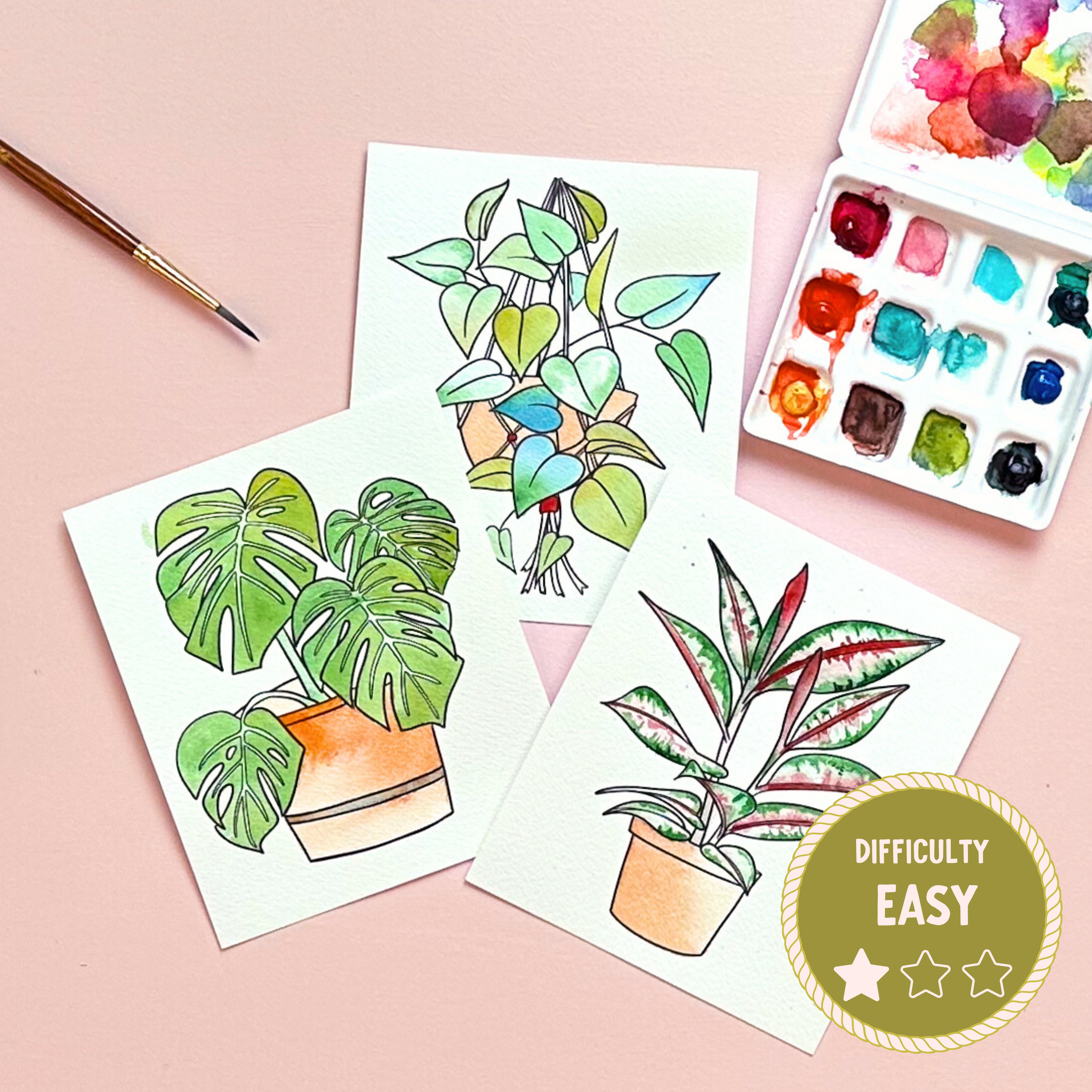 Potted Plants Watercolor Painting Kit - (Mini)