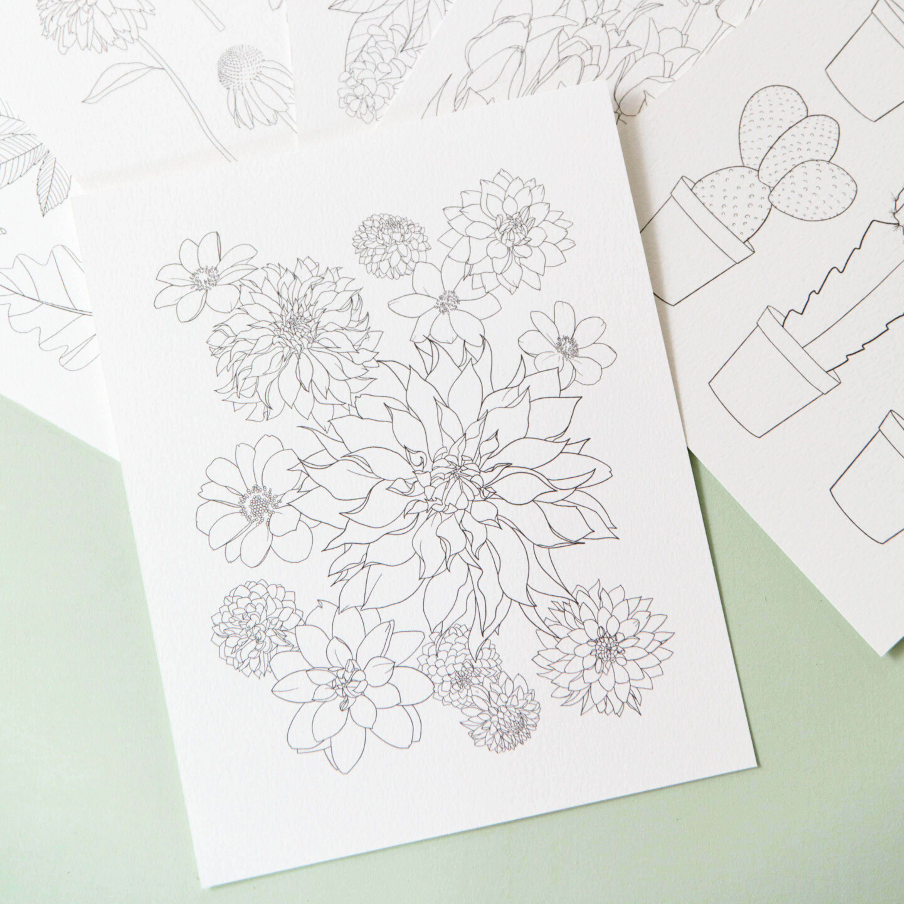 Dahlia outlines on top of a pile of watercolor sheets on a mint green background