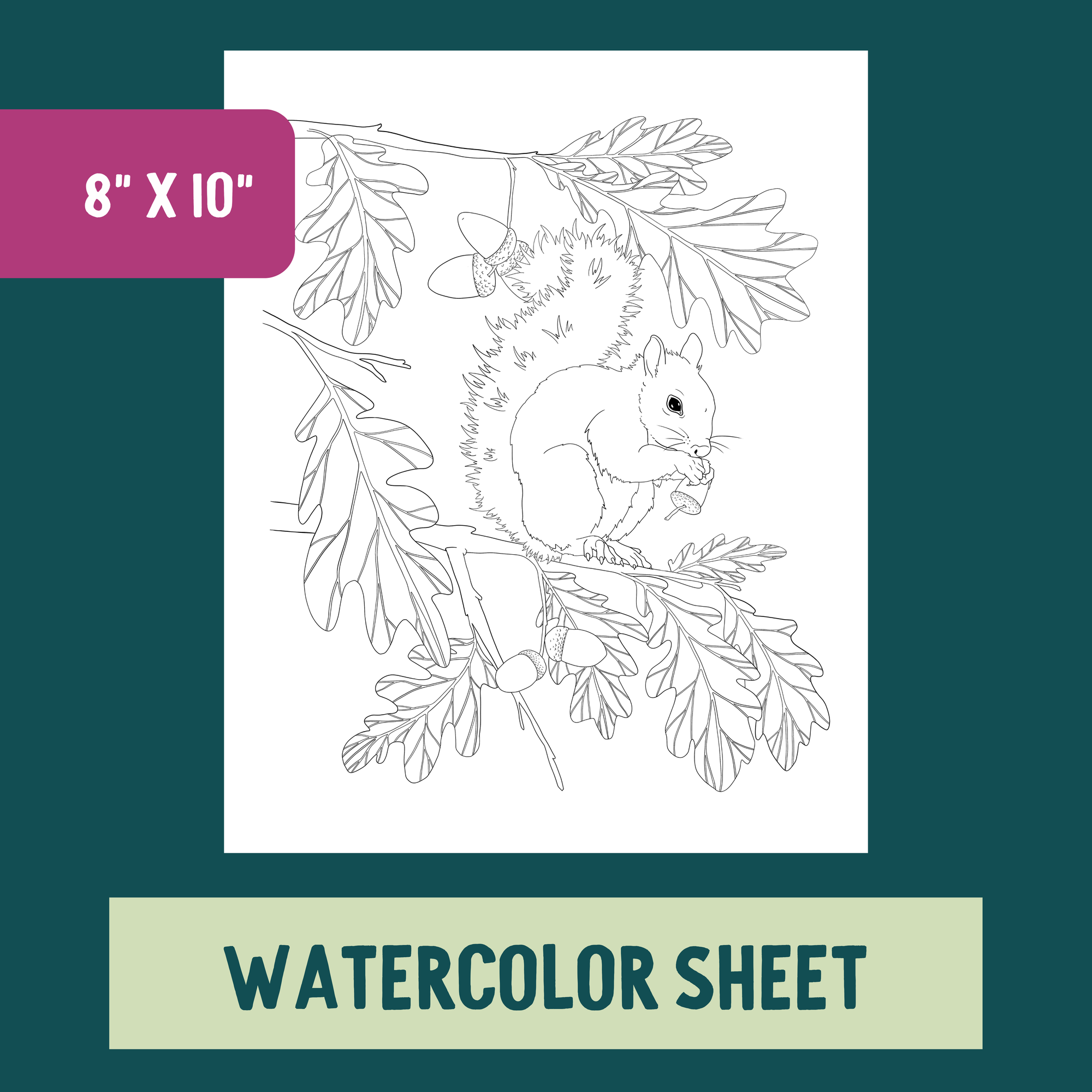 *Individual Sheet* Snacking Squirrel