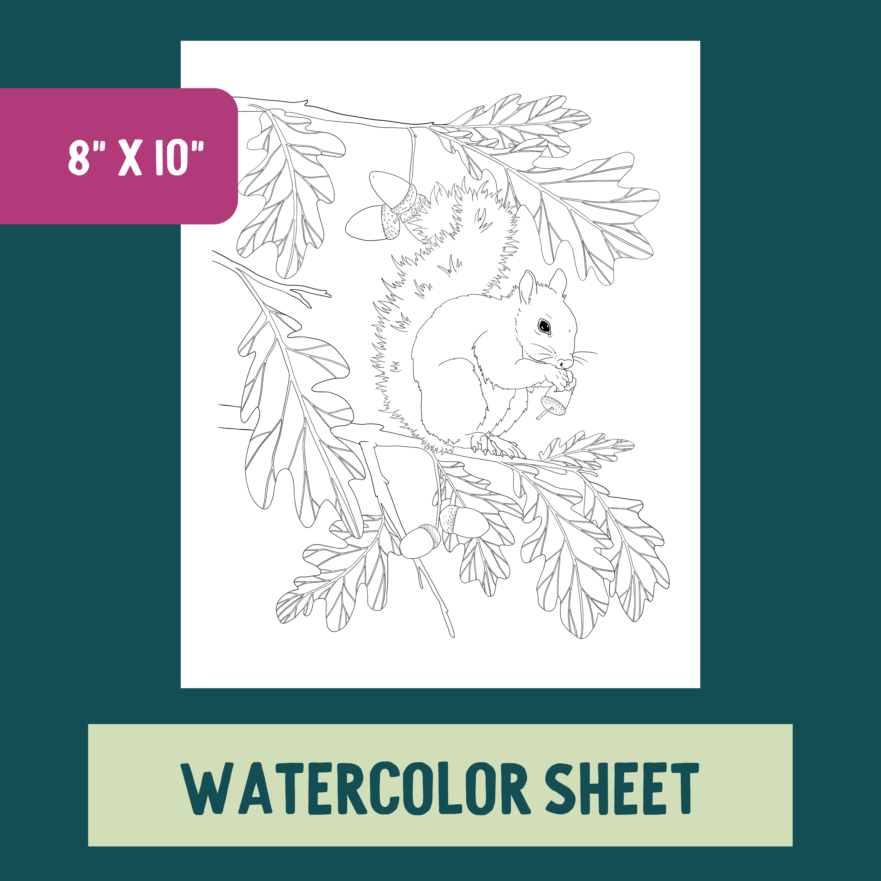 *Individual Sheet* Snacking Squirrel