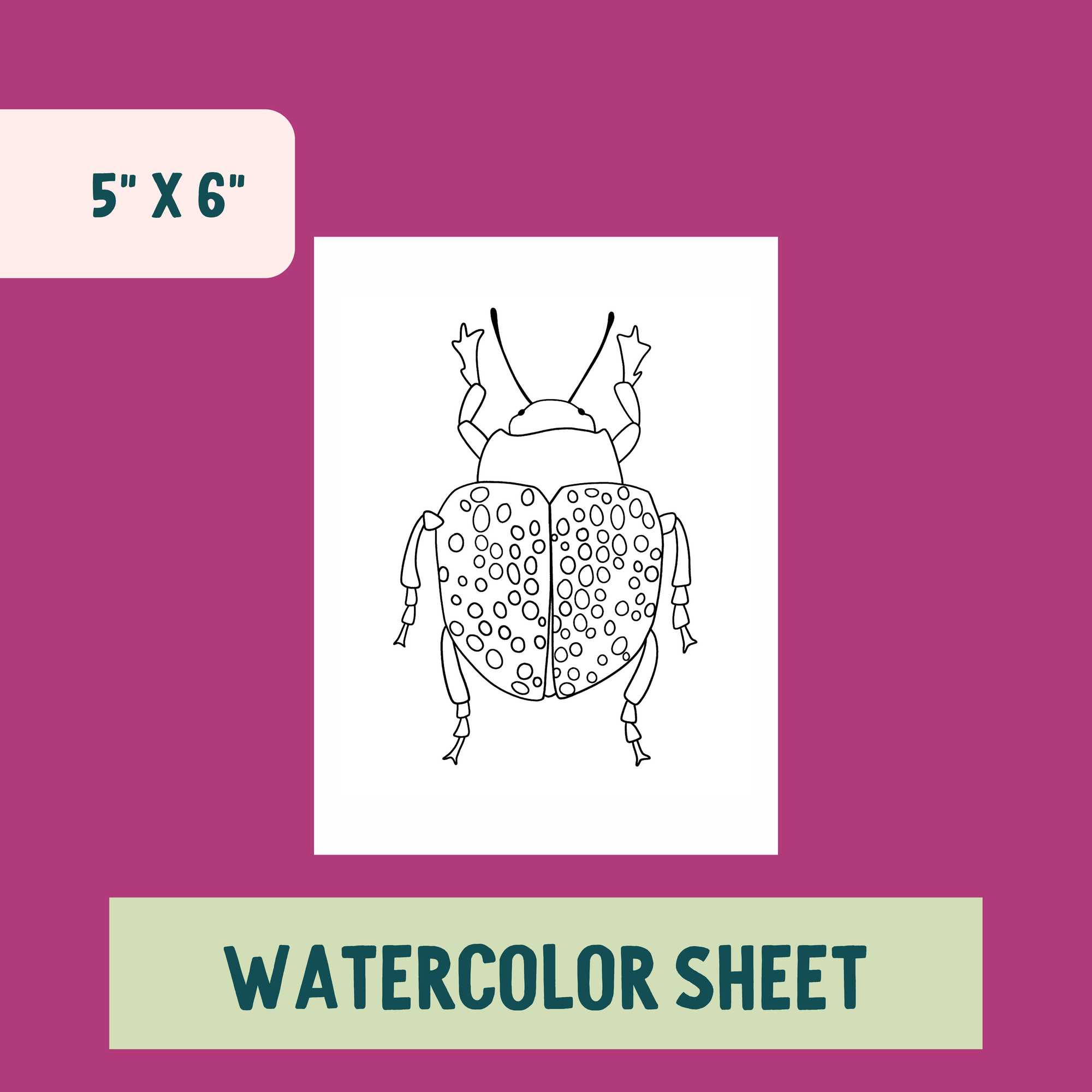 *Individual Sheet* Spotted Beetle