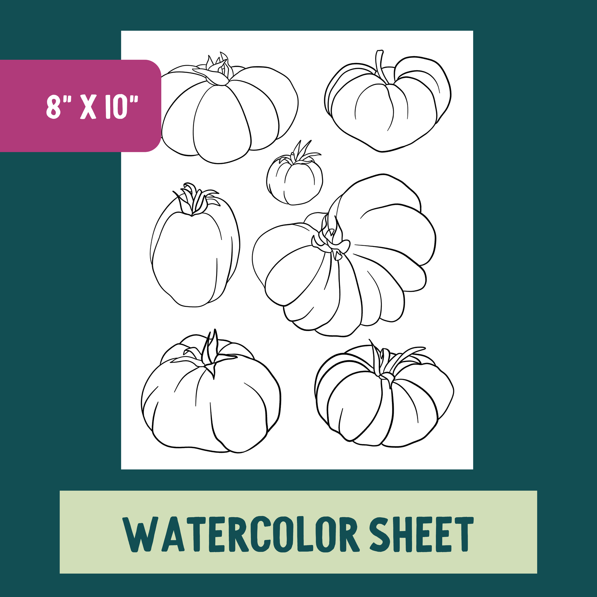 *Individual Sheet* Tomato Harvest