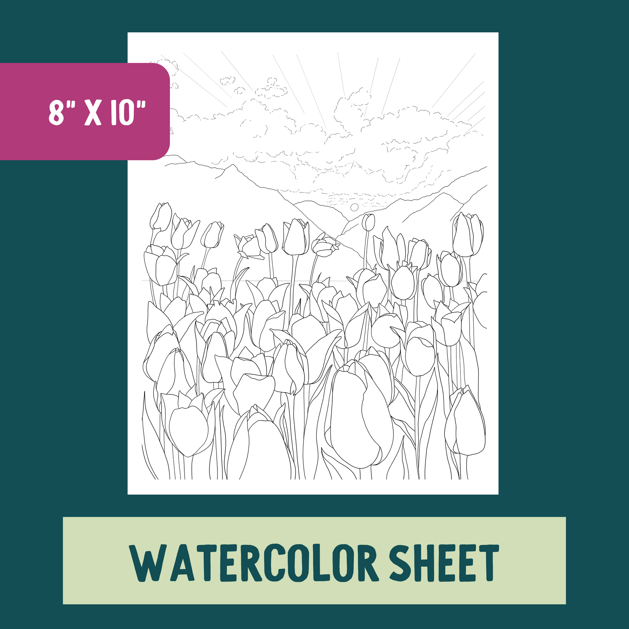 *Individual Sheet* Tulip Field