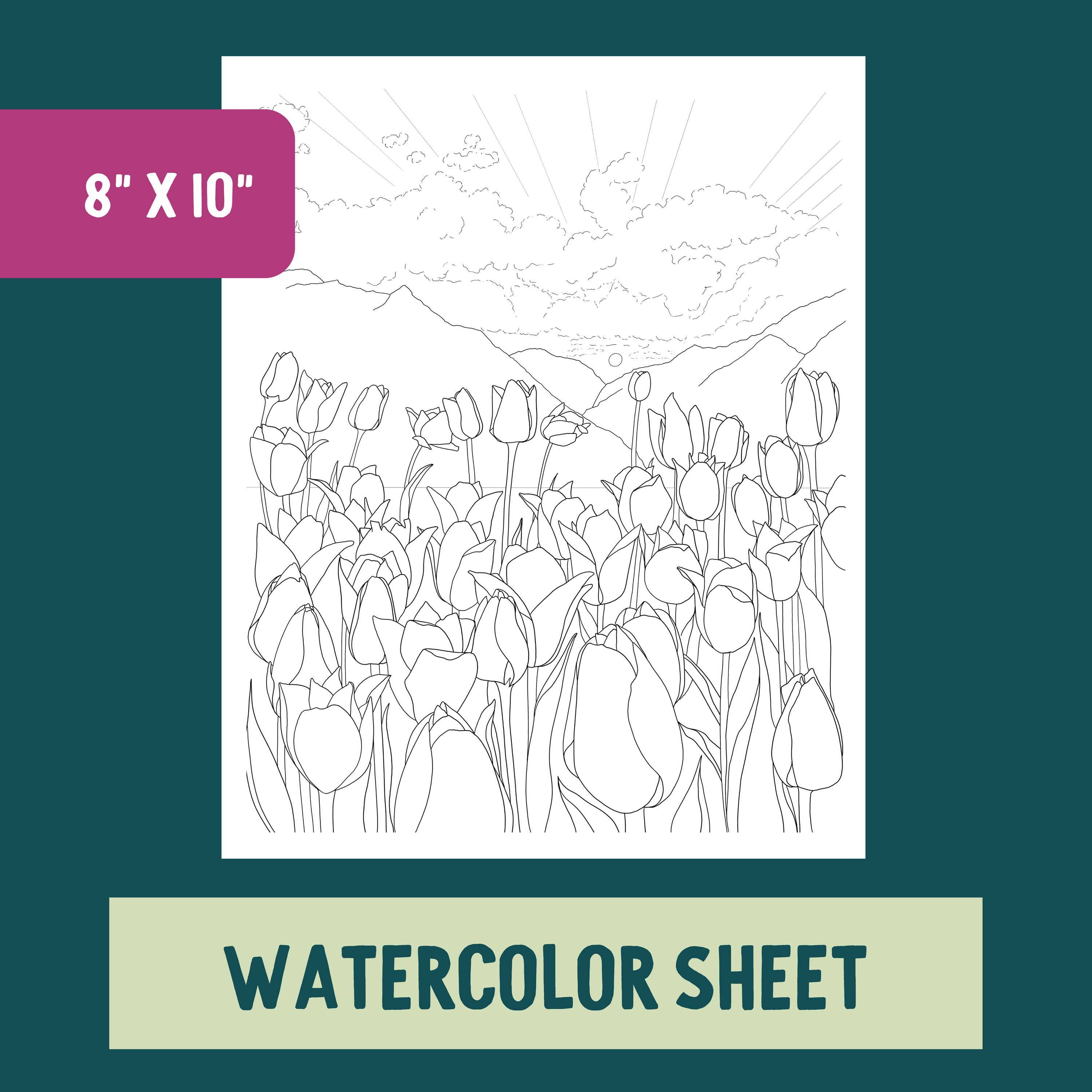 *Individual Sheet* Tulip Field