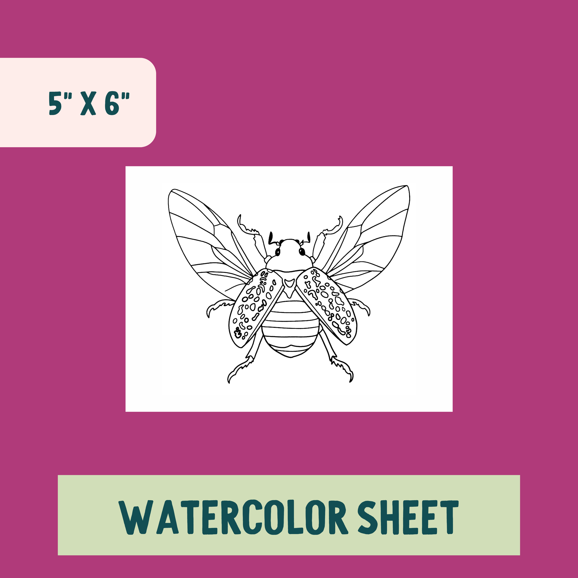 *Individual Sheet* Winged Beetle